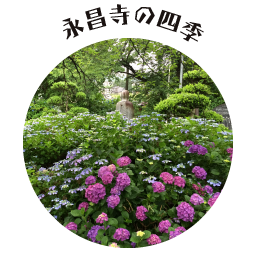 永昌寺の四季